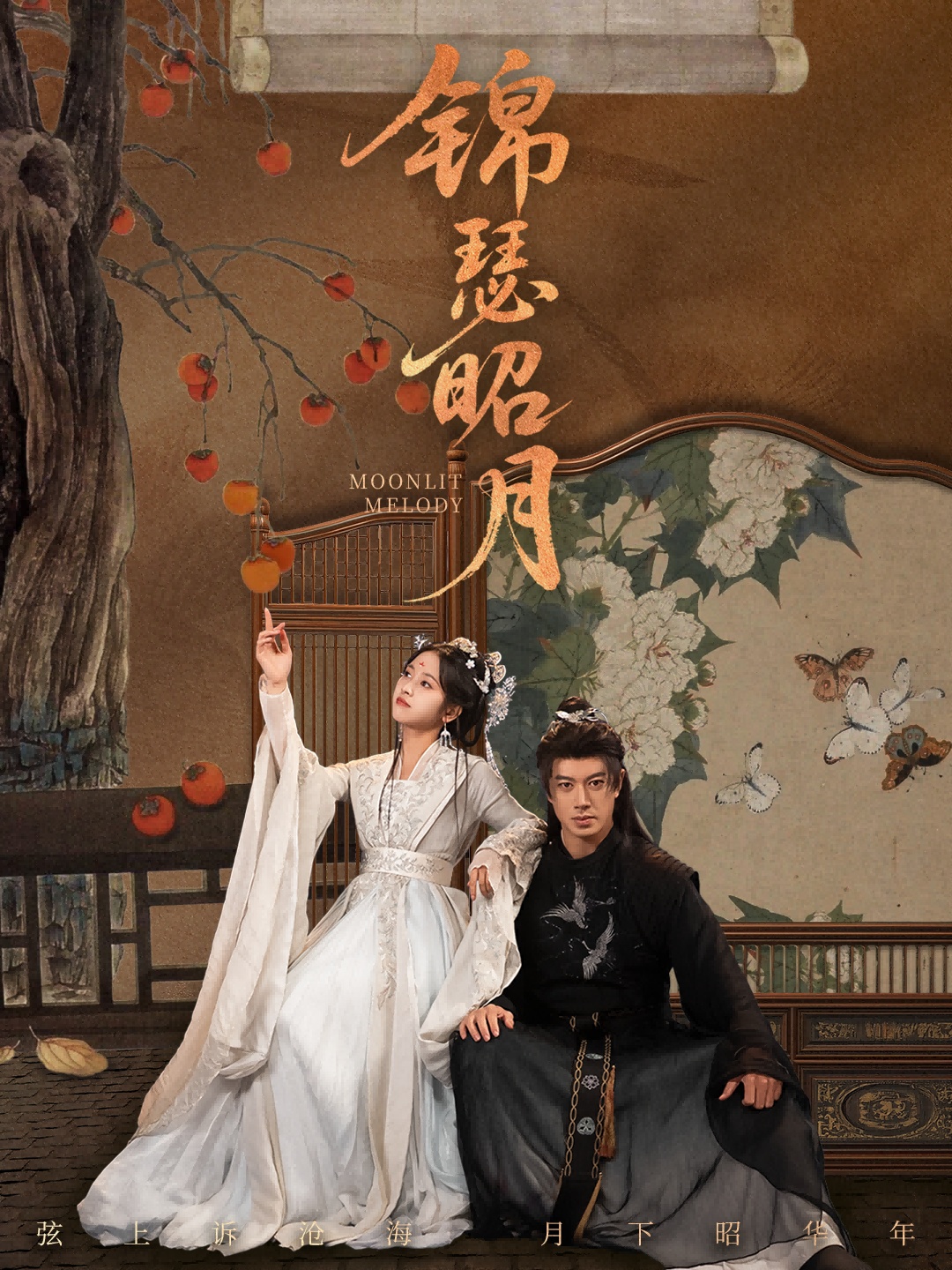 锦瑟昭月
