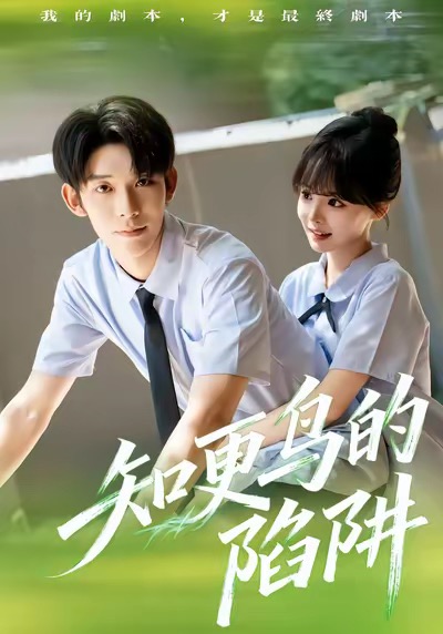 知更鸟的陷阱